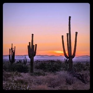 Meet your Posher, Mieko